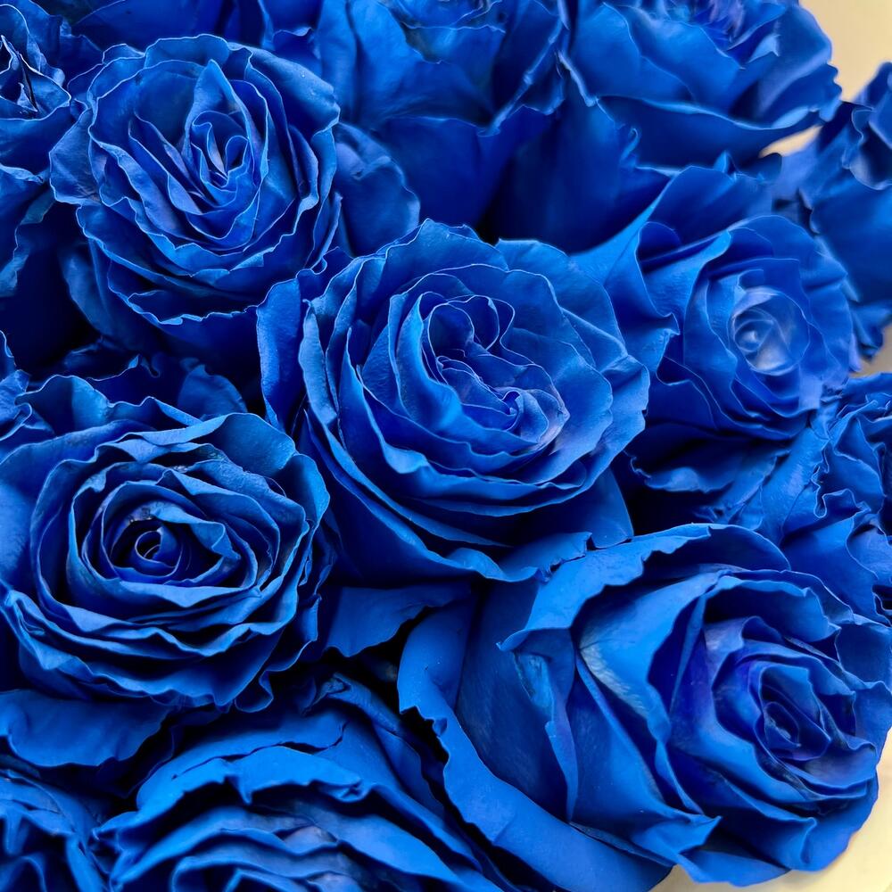 35 синих роз в оформлении