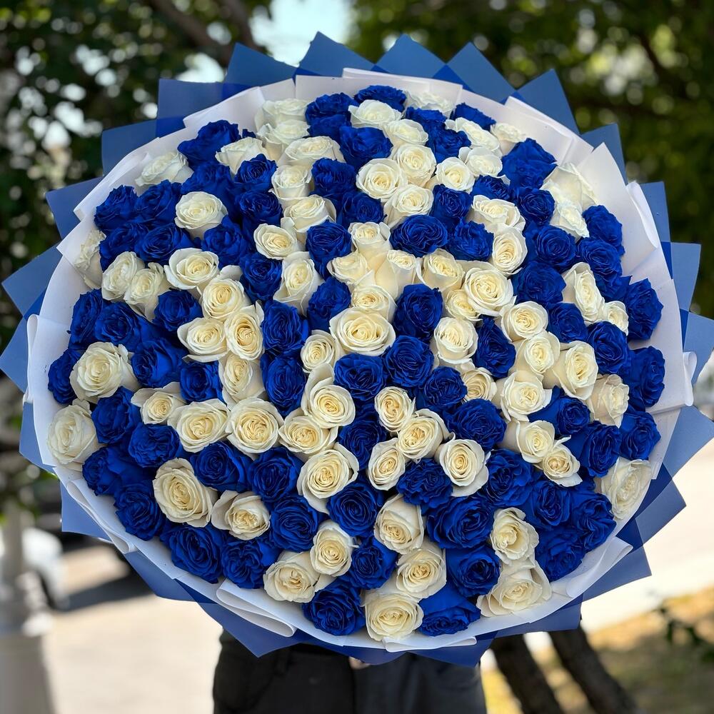 Букет из 101 синей и белой розы