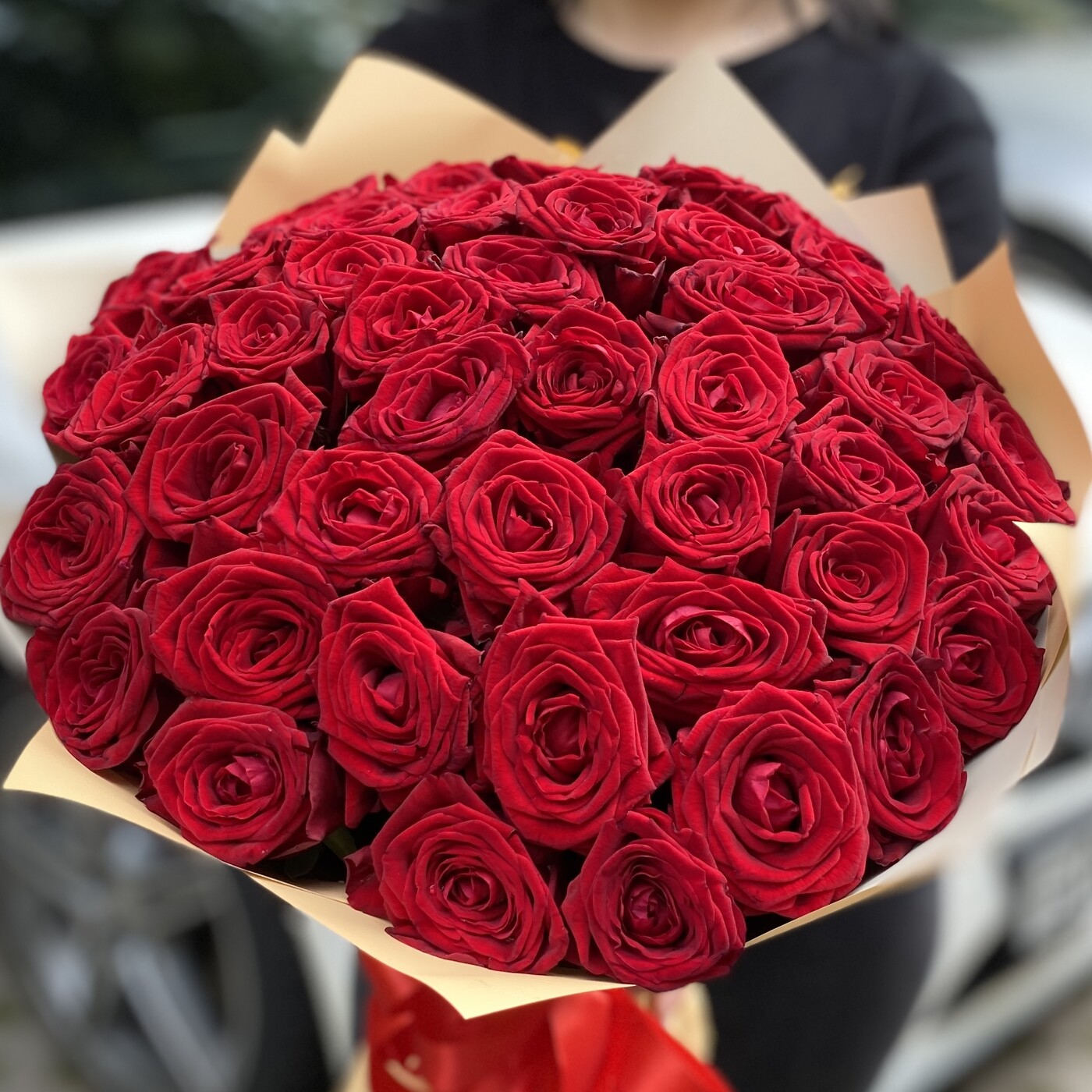 Акция! 51 красная роза Premium 50 см