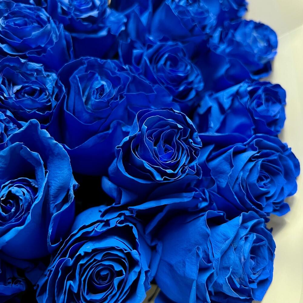 51 синяя роза в оформлении