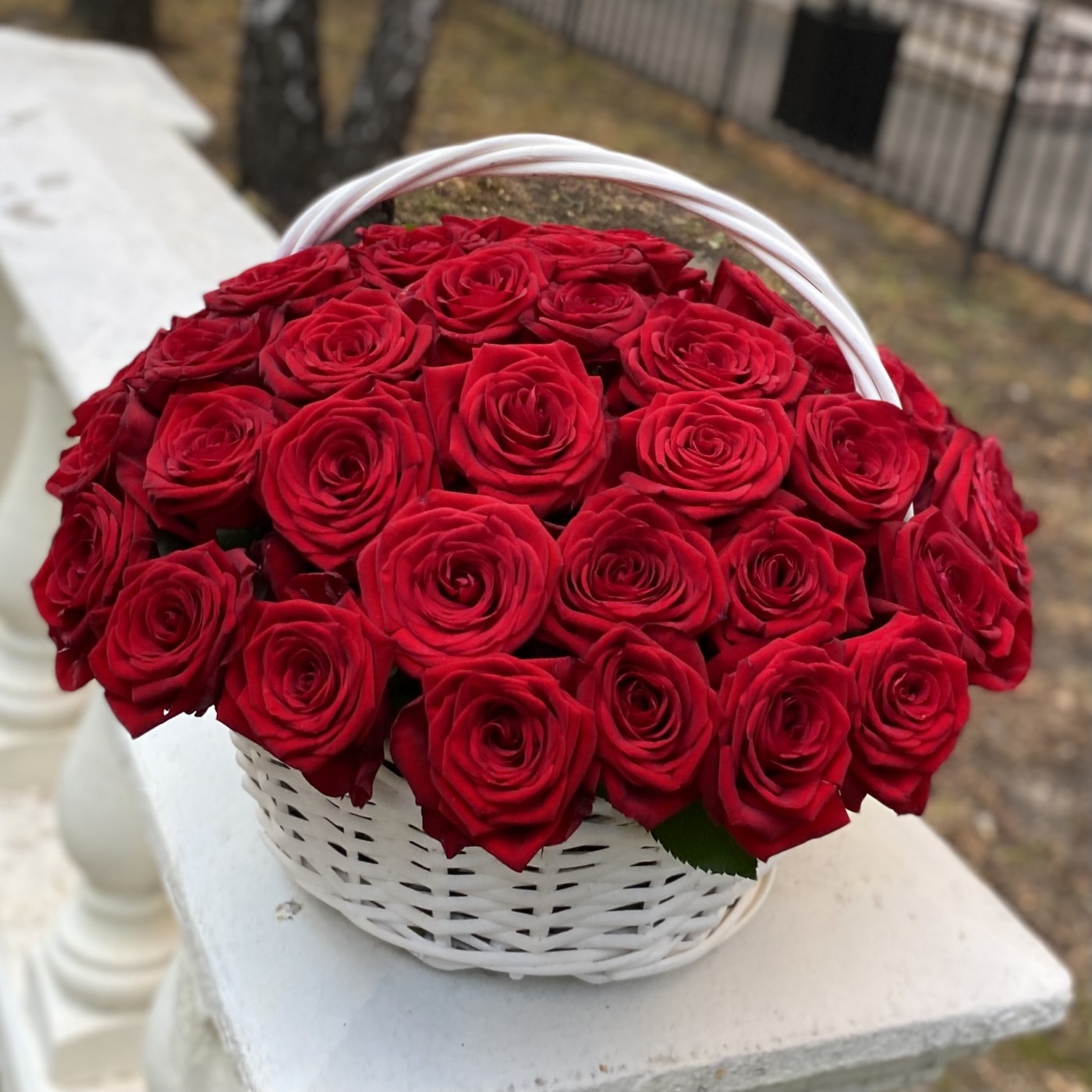 Корзина из 51 красной розы