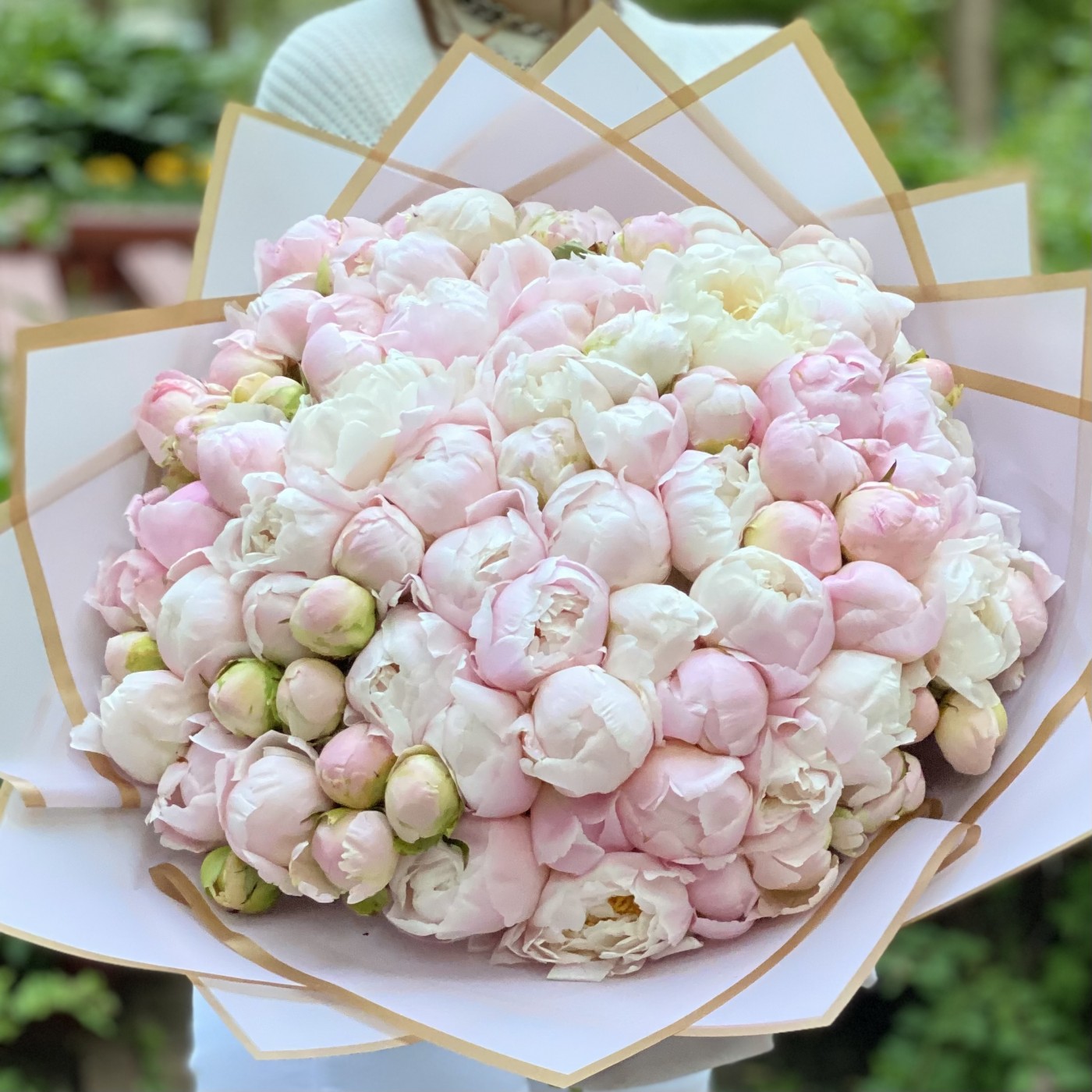 101 светло-розовый пион