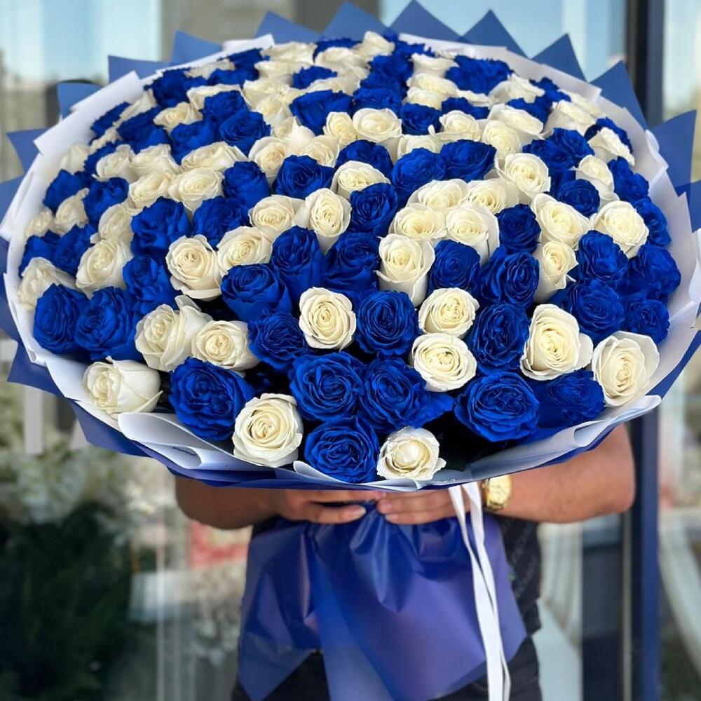 Букет из 101 синей и белой розы
