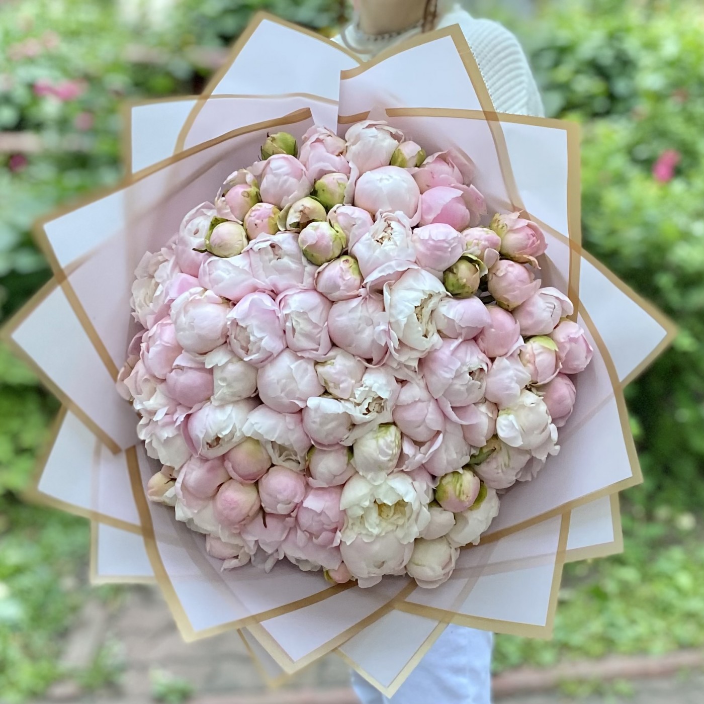 101 светло-розовый пион