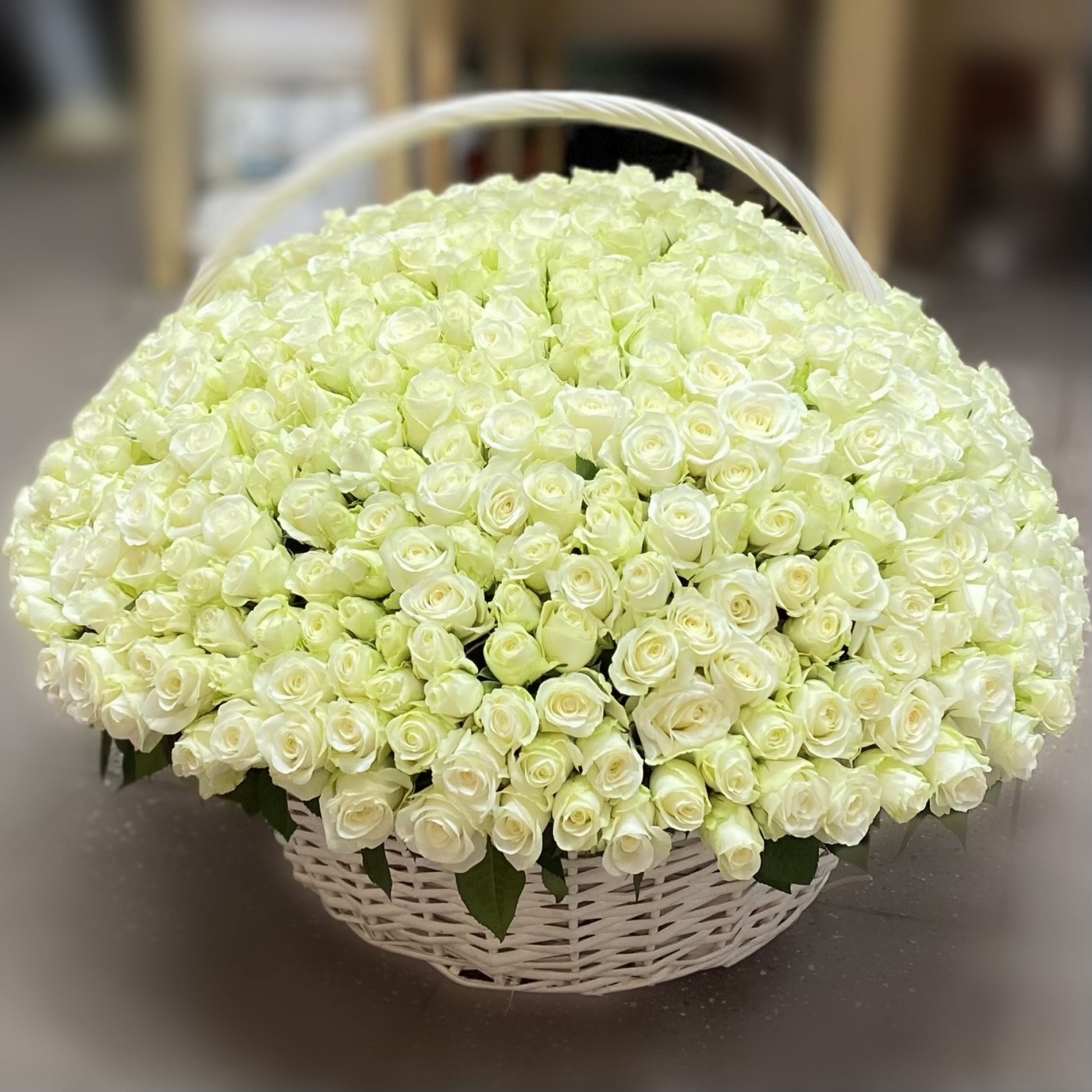 Букет из 501 белой розы