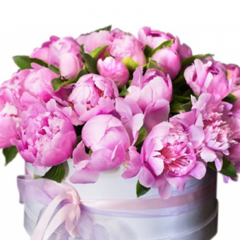 Букет из пионов в коробке "Венеция"