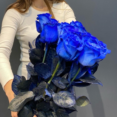 Букет из 11 синих роз
